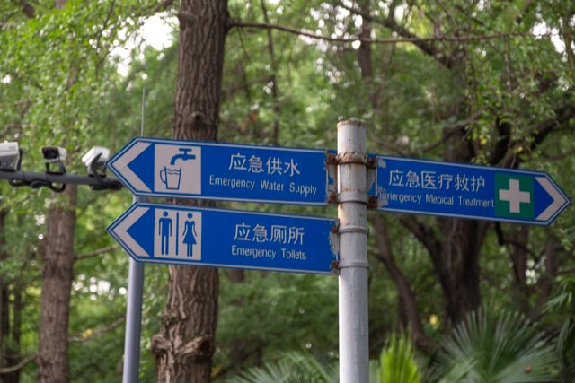 Lost in Translation